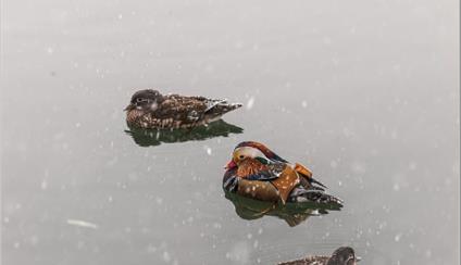 81º BOLETÍN INFORMATIVO DEL CONSULADO GENERAL DE ESPAÑA EN PEKÍN, RP CHINA