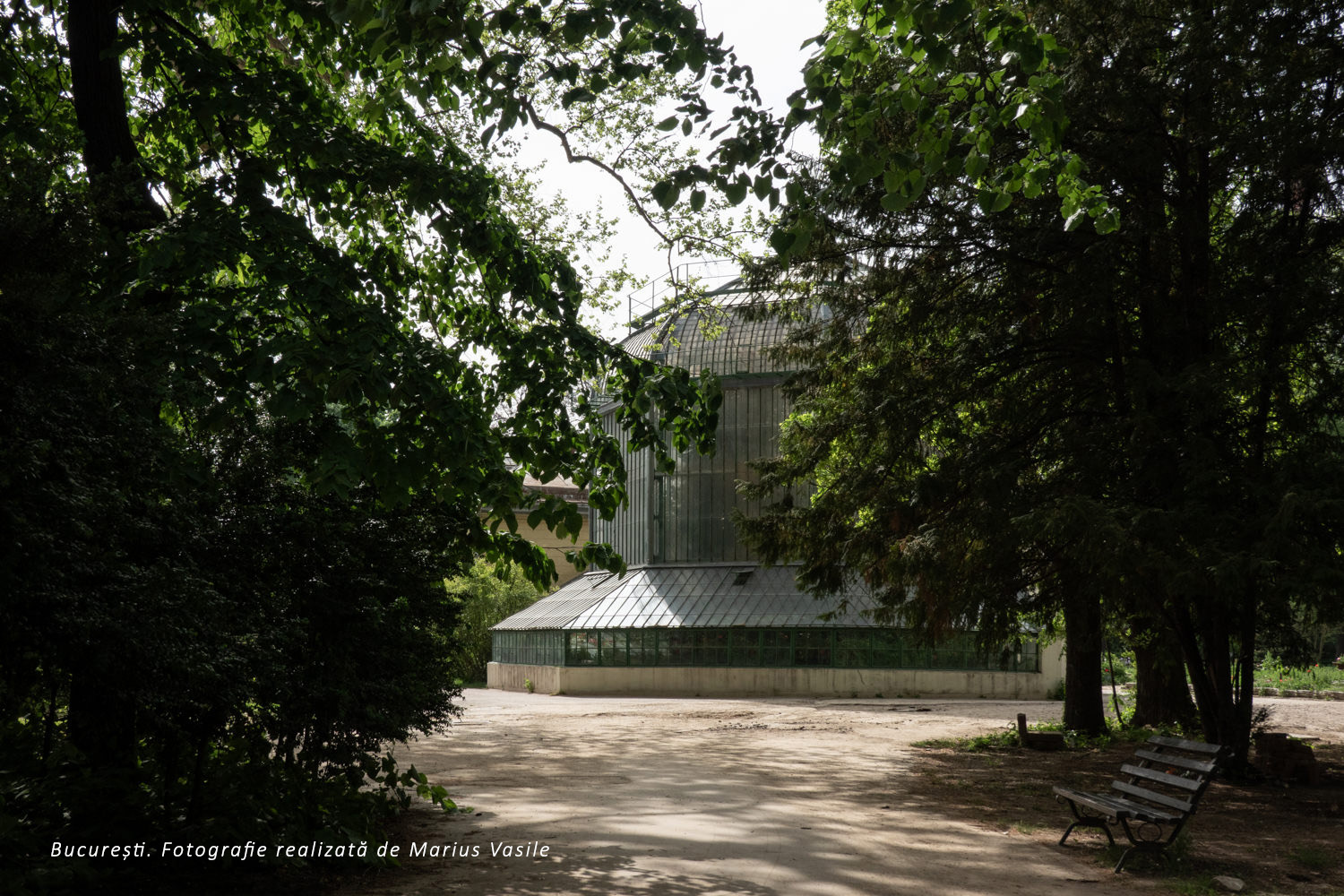 bucuresti gradina eden.jpg